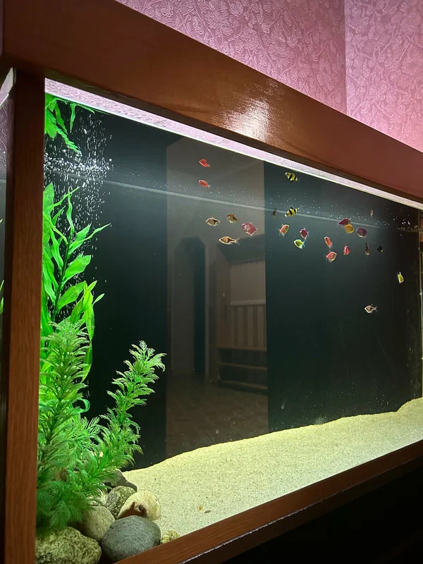 Гостевой дом - фото 13